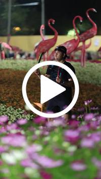 BIB:  <button type="button" onclick="openModal(27589972)" class="btn btn-primary btn-sm float-right" data-toggle="modal" data-target=".modal-high-quality">
                <i class="fa fa-download"></i> Download
                </button>